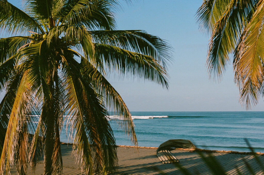 Surf in La Saladita, Guerrero — palm trees and perfect waves on Mexico’s Pacific coast.